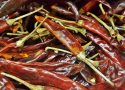 Tout savoir sur le piment chocolate bhutlah : Un monde de saveurs épicées !
