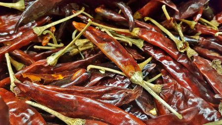 Tout savoir sur le piment chocolate bhutlah : Un monde de saveurs épicées !